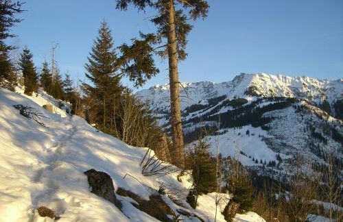 Landhaus Via Decia - Bad Hindelang PLUS Partner - Foto 31