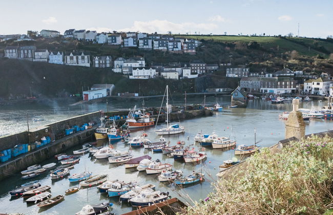 Cherry Orchard House - Foto 54