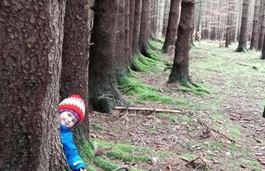 Dom Geologa - Foto 75