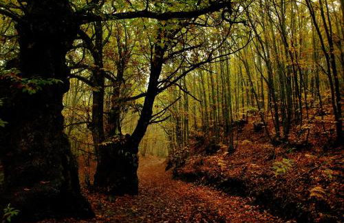 Casa Rural El Cabezo de Sierra de Gata - Foto 53