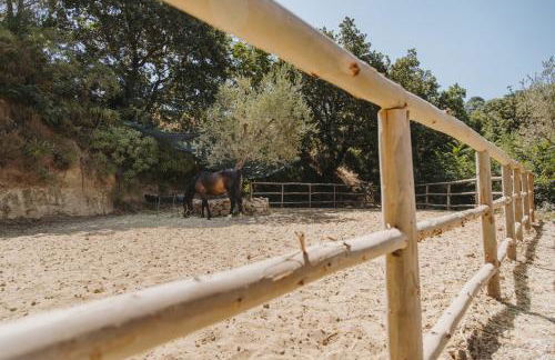 Leano Agriresort - Foto 53