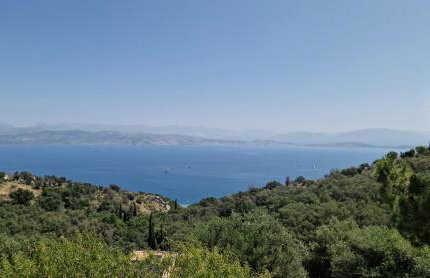 Efi Loutses - Foto 30