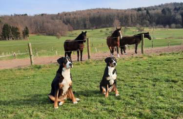 Ferienbauernhof Brandt - Foto 8