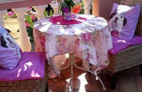 Villa Regina Accommodation - Foto 70