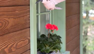 DOMEK POD TRÓJMORSKIM WIERCHEM - Foto 3