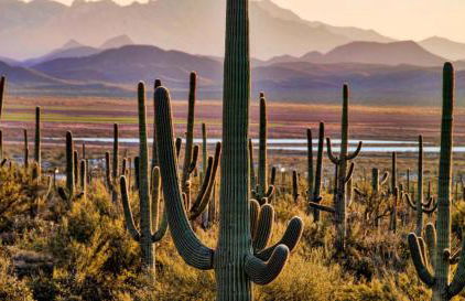 Ventana Canyon CONDO 2BR Condo w Pool & Tennis c - Foto 36