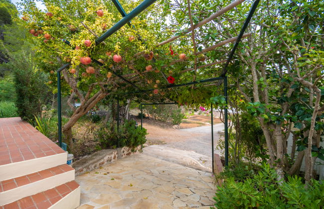 Can Toni Mari - Photo 29