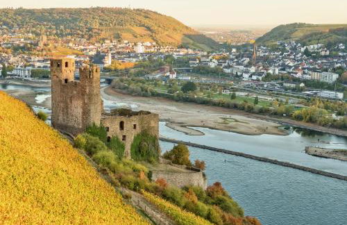 LaBed - Ferienwohnung auf Weingut mit privater Terrasse, zentral gelegen, gratis WLAN - Foto 25