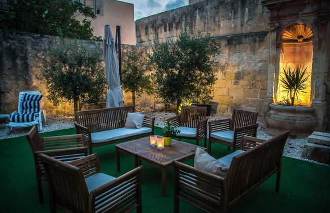 Maltese Maltese - Foto 56