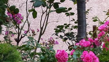 Chez MariLou - Foto 4, Garden