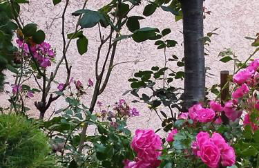 Chez MariLou - Foto 4