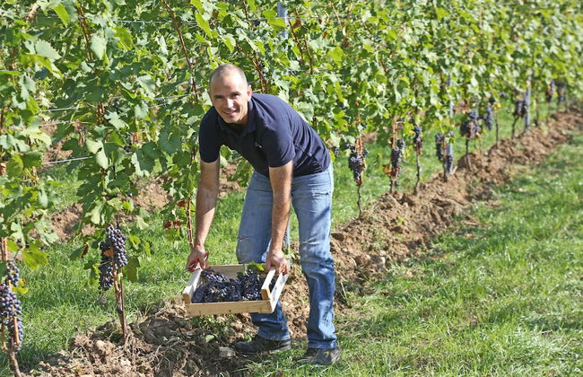 Agriturismo La Rocca - Foto 49