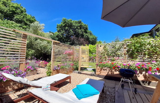 Forest Palms - Foto 16