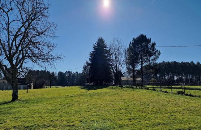 Holiday Home Le Fournil in Manhay With Garden - Photo 30