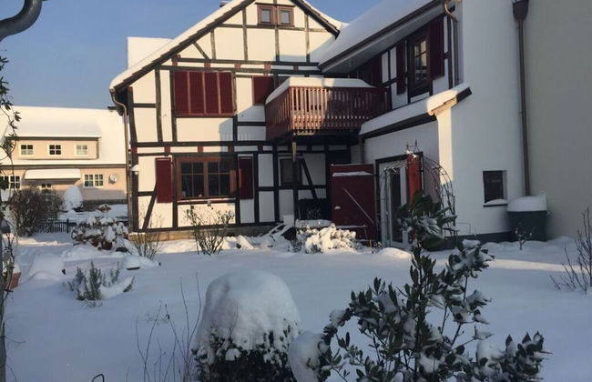 Hansel und Gretel - Foto 29