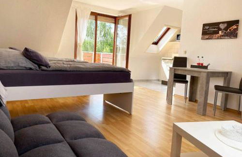 Apartment mit Dachterrasse nahe Zwickau - Foto 6