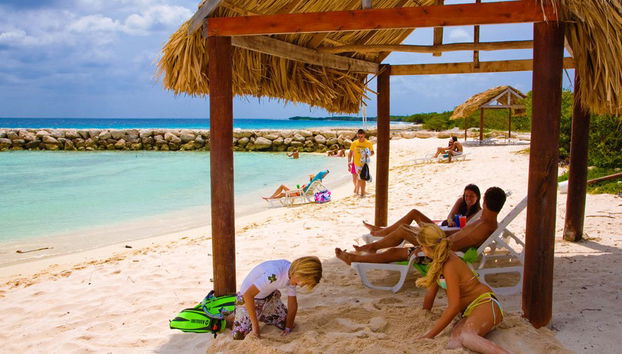 Palm Island in Bus - Tour di giornata completa - Foto 4