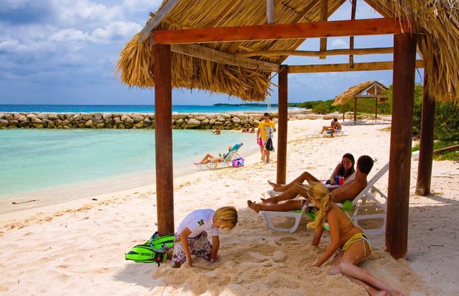 Palm Island in Bus - Tour di giornata completa - Foto 4