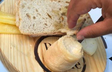 Sunshine Guesthouses in Azeitao and Algarve - Foto 24