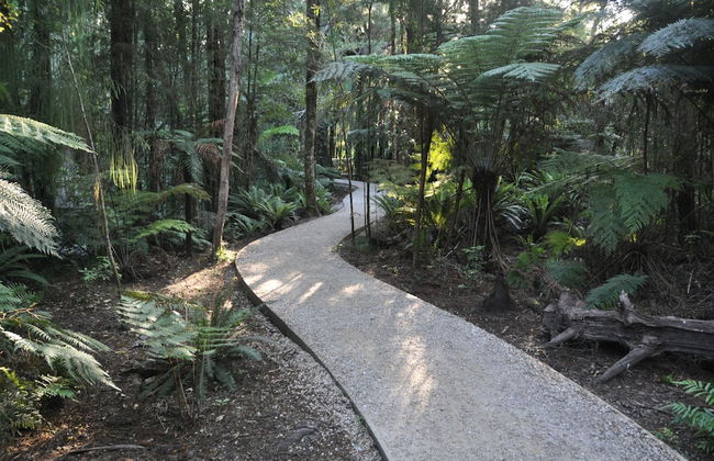 Adrift In Golden Bay - Foto 43