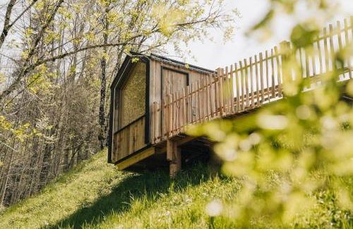 Salzbergalm - Foto 24