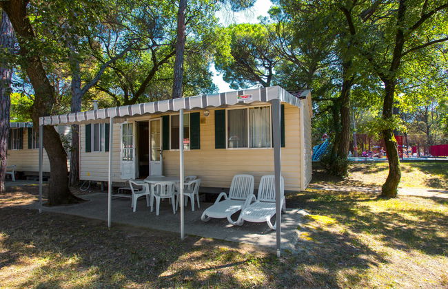 Green Holiday (GDO201) - Foto 3