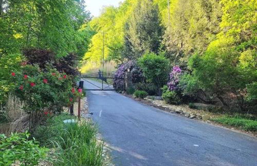 Updated Classic Cabin, Private Community and Hot Tub - Foto 29