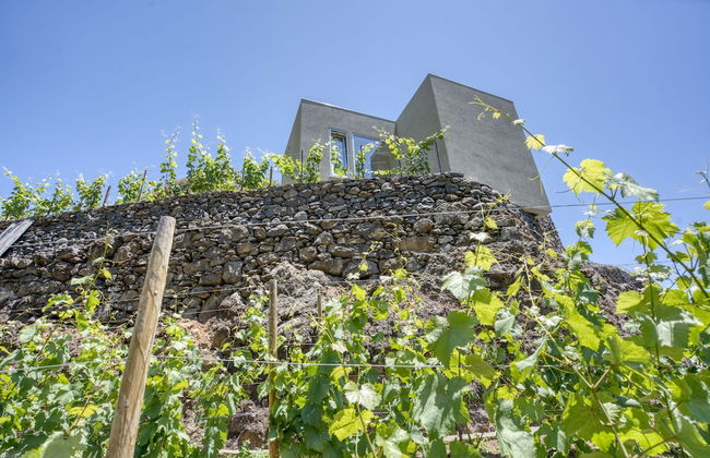 Socalco Nature Calheta - Photo 33