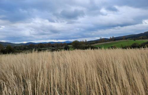 Domek u Hołąbków - Foto 25