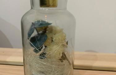 APPARTEMENT OR - Foto 20