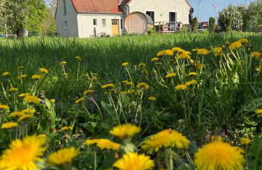 Schleusenmeistergehöft Gottesgnaden - Foto 41