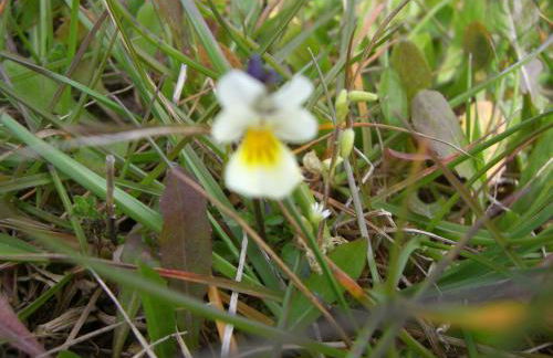 Lieblingsnest Detmold - Foto 63