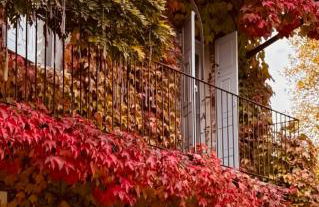 Cascina Burroni - Foto 20