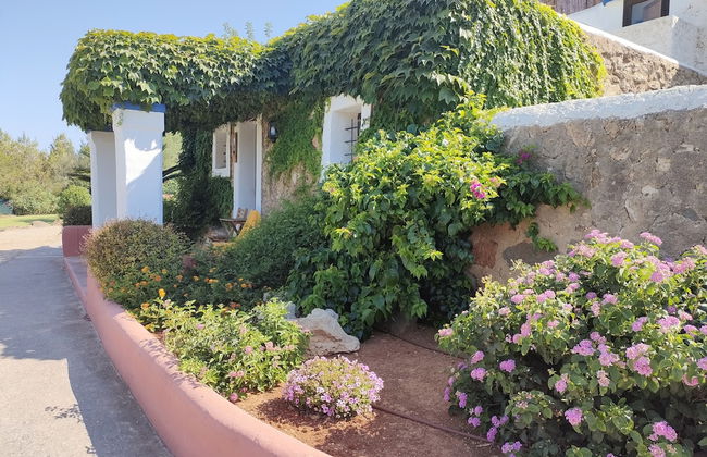 Agroturismo Can Marquet - Foto 60