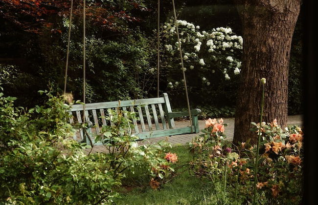 La Petite For t Antique Countryside Greenhouse - Photo 38