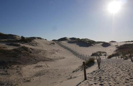 Dworek Słoneczko - Foto 29