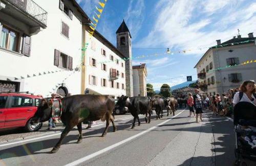 La Casa di Siro - Foto 12