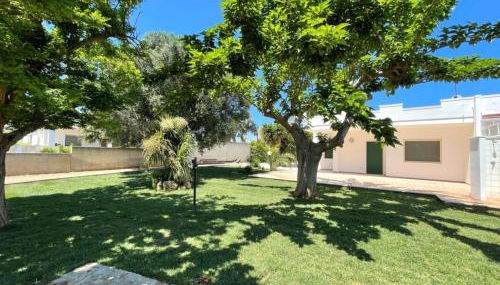 Villa Nettuno - Foto 2, Garden