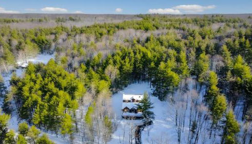 Secluded Catskills Cabin , Cozy and Private - Foto 2