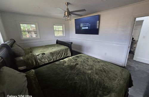 Bayou Phoneix - Foto 11