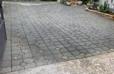 Fig Tree Murter - Photo 11