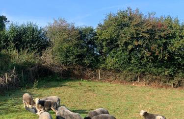 Stable End - Photo 3