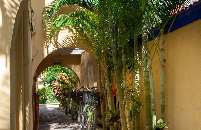 Abbey del Sol - Foto 48