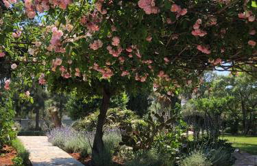 Villa-Agave , by the sea in Porto-Rafti outside Athens - Foto 21