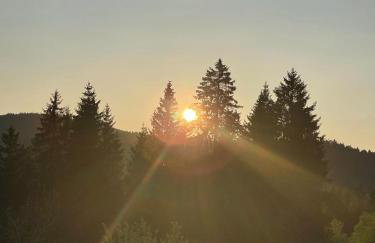 Ferienwohnung Schwarzwald - Foto 19