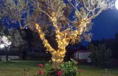 Casa torelli azzurro - Foto 10