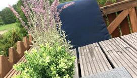 Große Koje mit Terrasse - Foto 3