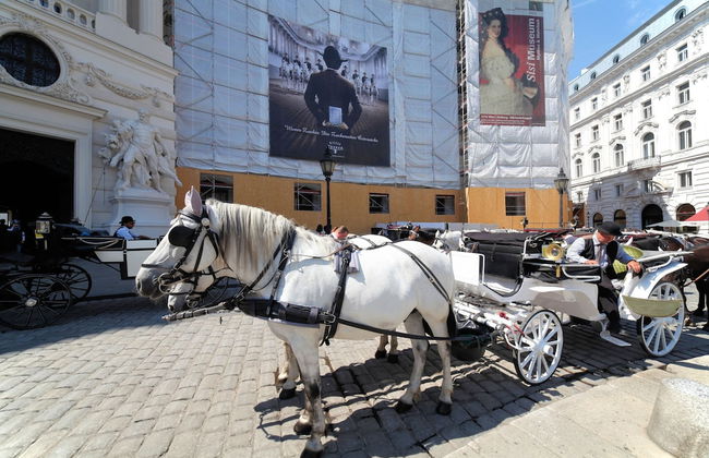 Sobieski Town Apartments - Foto 1