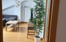 Apartamentos Suites Olmedo - Foto 19