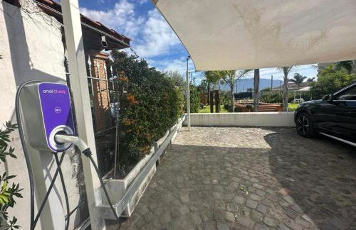 Home Olympus Vesuvio - Photo 32